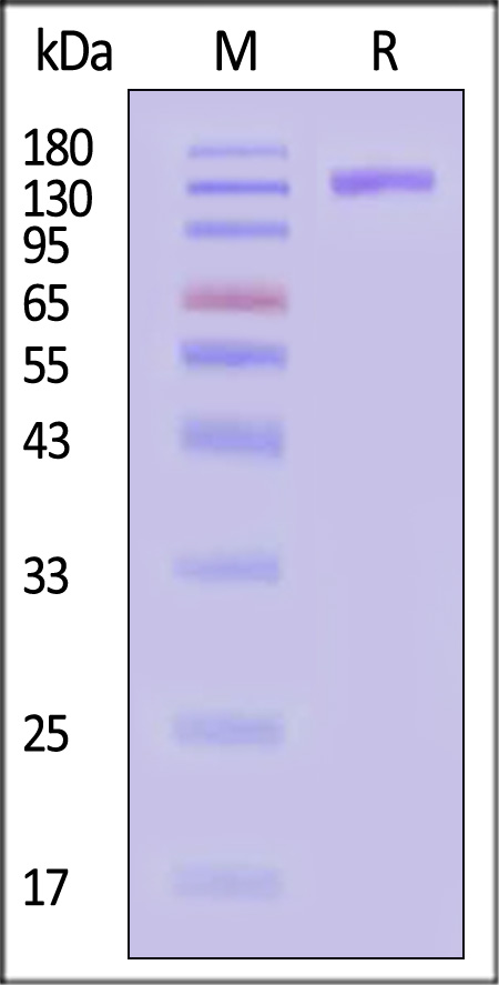 TL3-R5253-sds