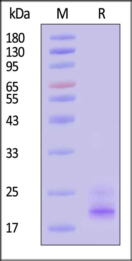 TR2-H82E9-sds