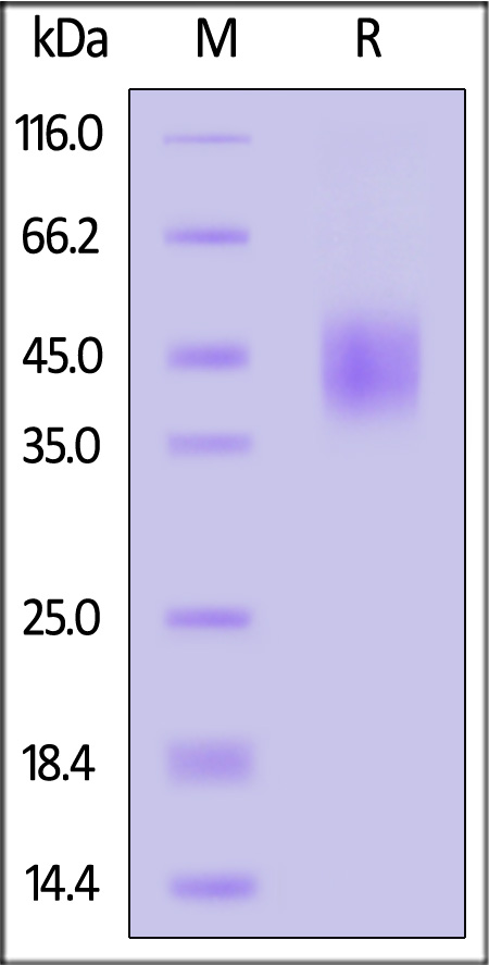 TR2-R52H9-sds