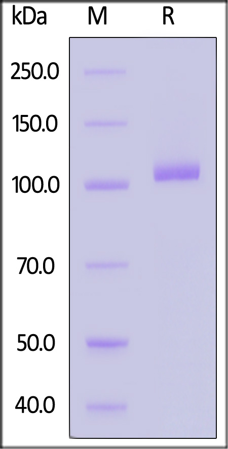 TRA-H5263-sds