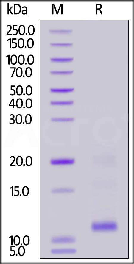 TSP-C82E3-sds