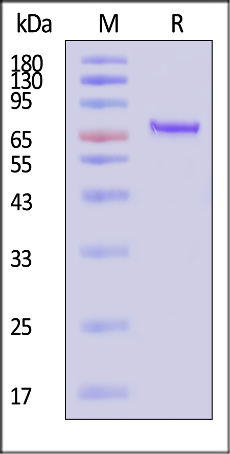 VP2-A5147-sds