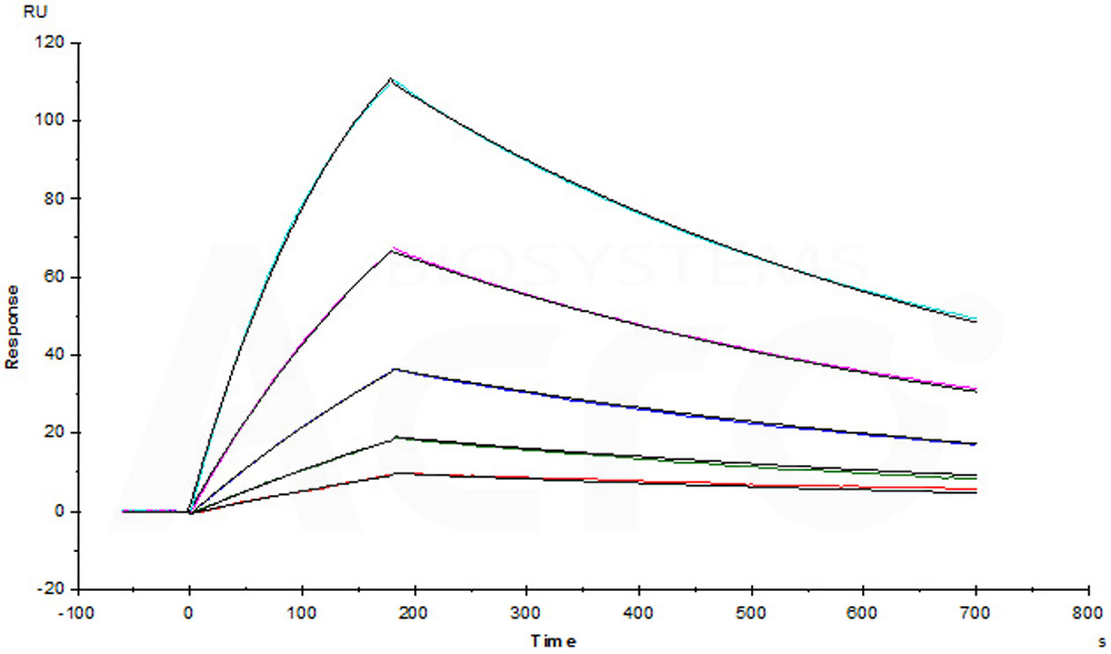  CD38 SPR