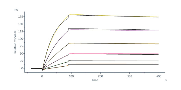  CD19 SPR