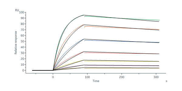  CD3 epsilon SPR