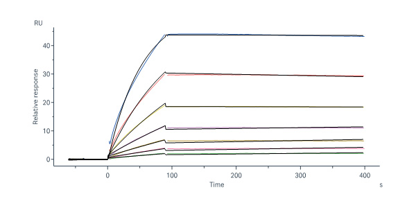  Glycoprotein SPR