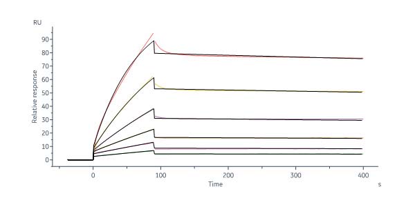  Glycoprotein H&L&O SPR