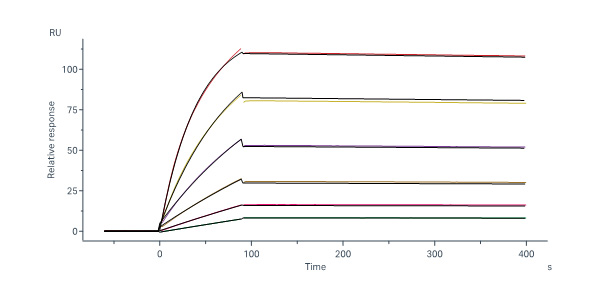  Hemagglutinin/HA (Influenza Virus) SPR