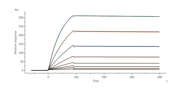  Hemagglutinin/HA (Influenza Virus) SPR