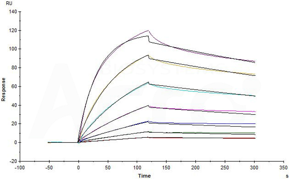  Integrin alpha 5 beta 1 SPR