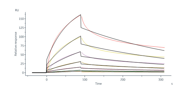  Neuraminidase (NA) SPR