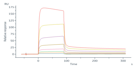  Nogo Receptor SPR