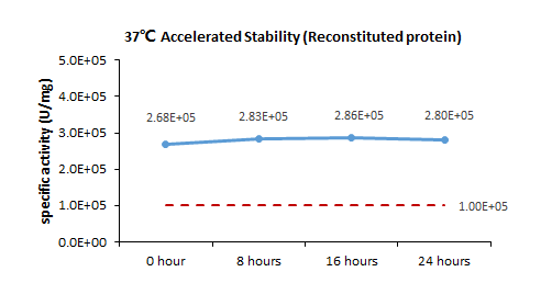  IL-21 STABILITY