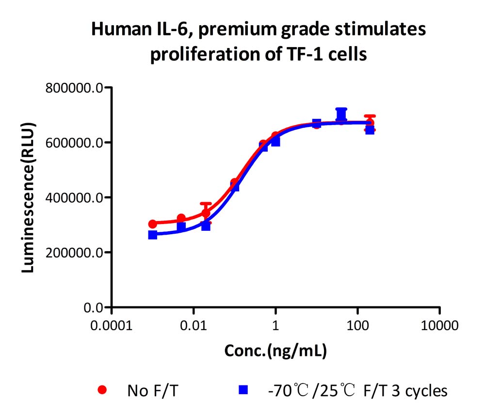  IL-6 STABILITY