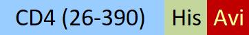 CD4-R82E3-structure