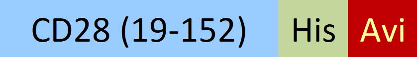 CD8-H82E5-structure