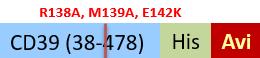 CD9-H82E8-structure