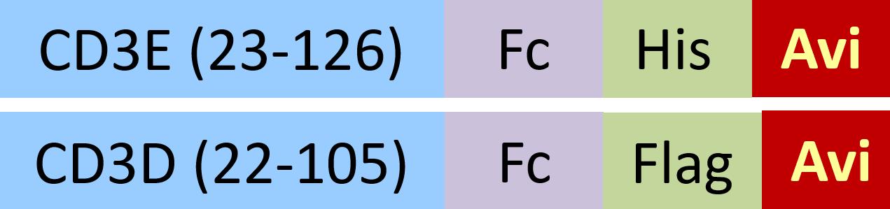 CDD-H82F6-structure