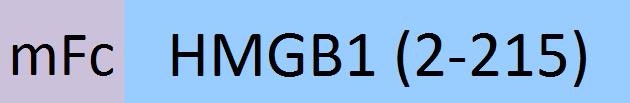 HM1-H5255-structure