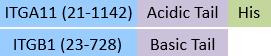 IT1-C52W9-structure