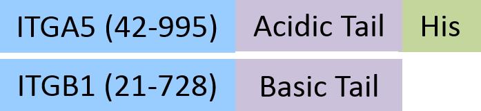 IT1-H52W5-structure