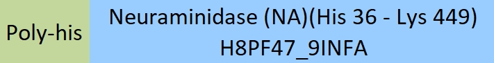 Neuraminidase/NA (Influenza Virus) Structure