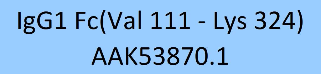 Online(Val 111 - Lys 324) AAK53870.1