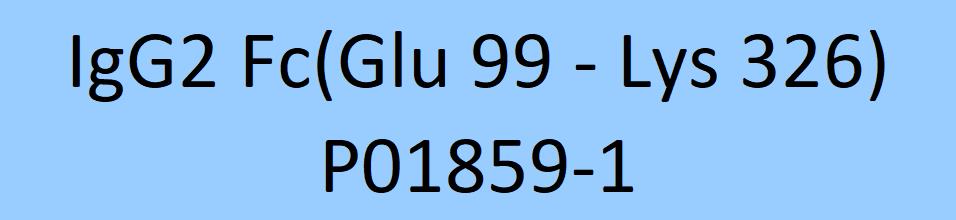 IgG2 Fc Structure