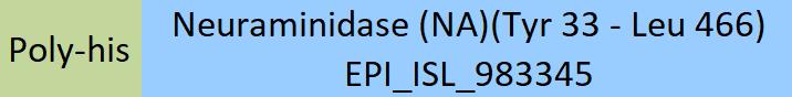 Neuraminidase (NA) Structure