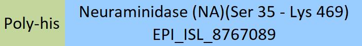 Neuraminidase/NA (Influenza Virus) Structure