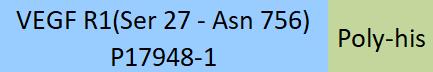 VEGF R1 Structure
