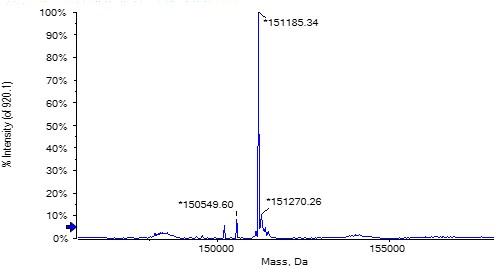  Biotin TYPICAL DATA